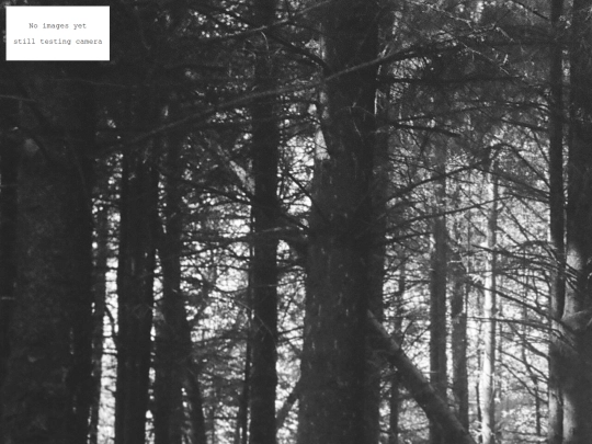 blank screenshot