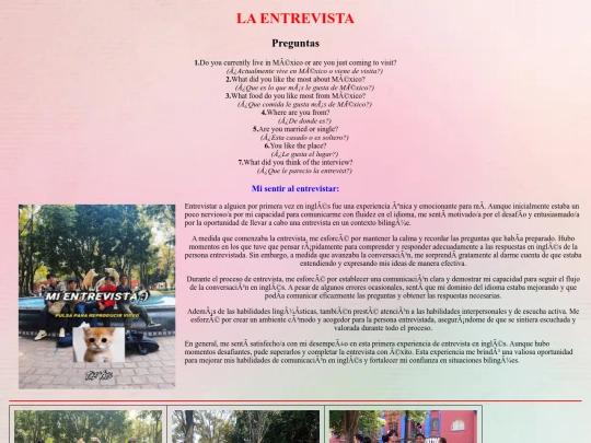 mi entrevista screenshot