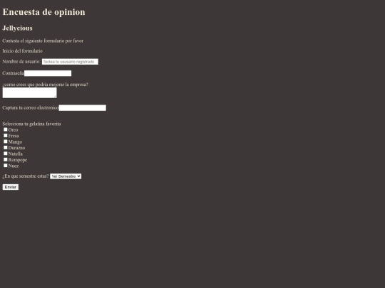 formulario screenshot