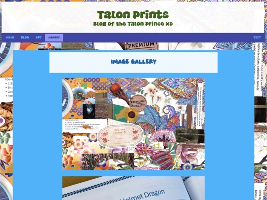 page screenshot
