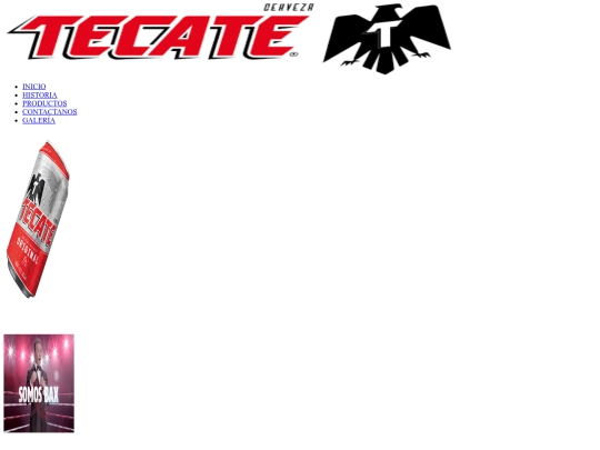 paginas/contactanos screenshot