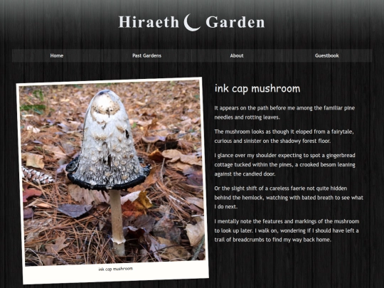 autumn/ink-cap-mushroom screenshot