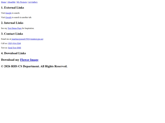 projects screenshot