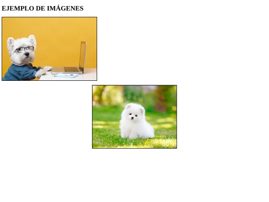 ejemplos/imagenes screenshot