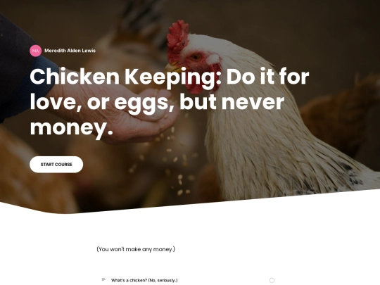 chickens screenshot