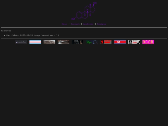 Archives screenshot
