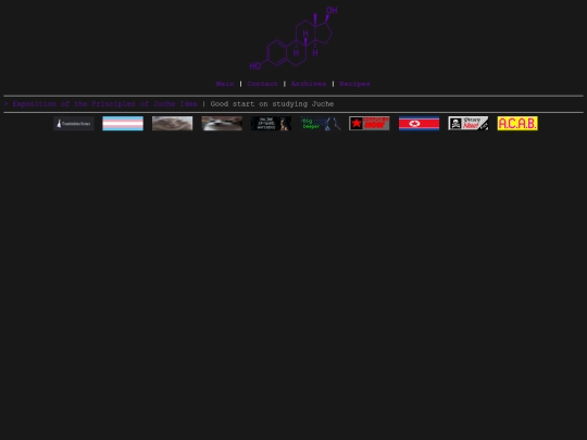 DPRK/theory screenshot