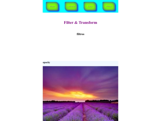 pagina4 screenshot