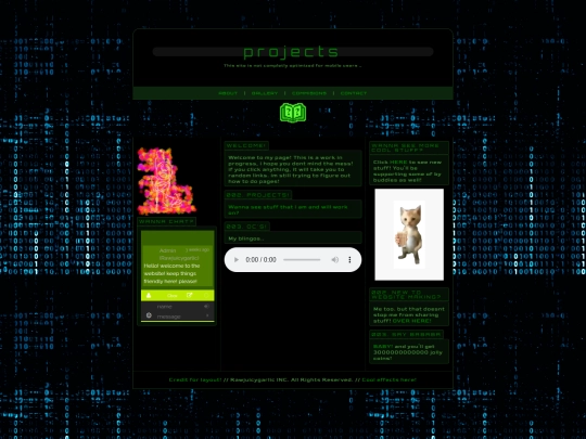 projects screenshot