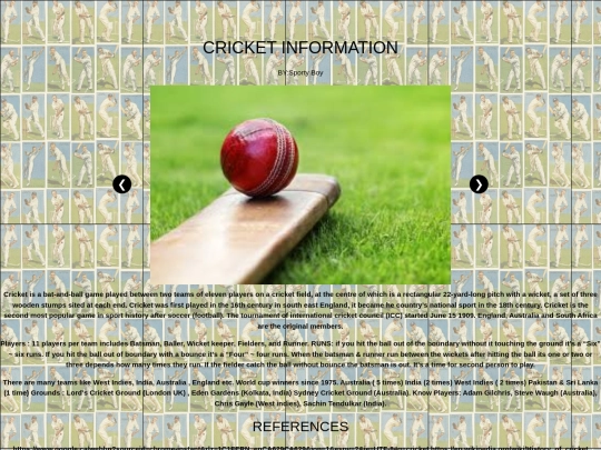CRICKET screenshot