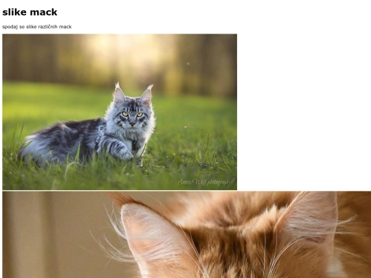 slike_mack screenshot