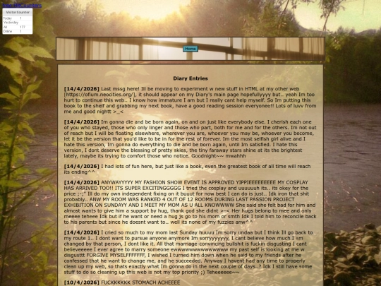 diary screenshot