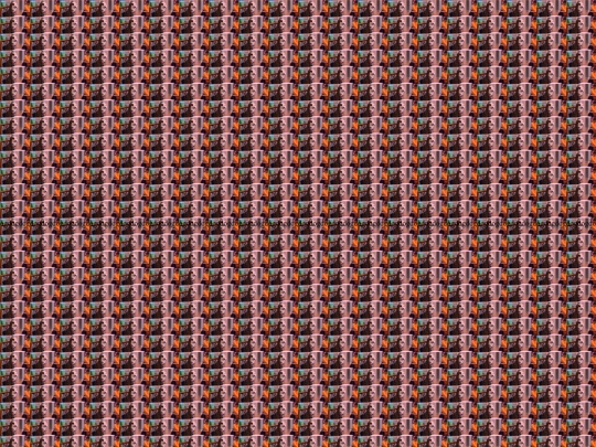 dogwithablog screenshot