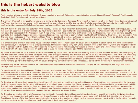 blog-07-28-25 screenshot
