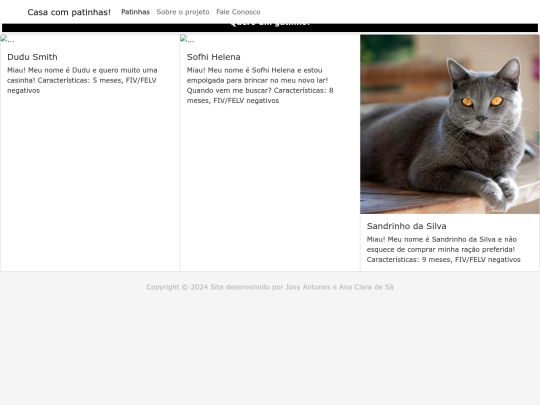 teste_sandro screenshot