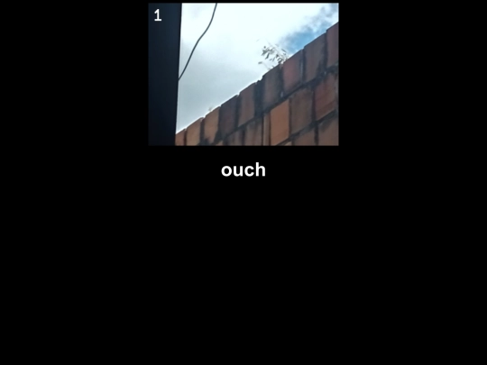 level1 screenshot