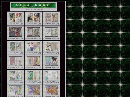 garbage/photos/bluebook screenshot