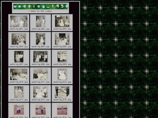 garbage/photos/wedding-1958 screenshot