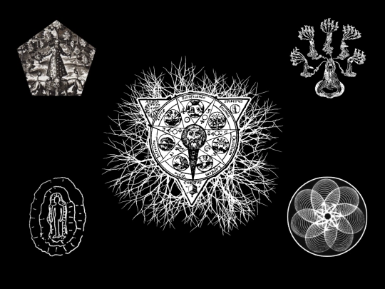 neuralnet screenshot