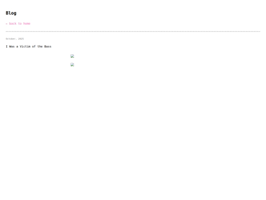 blog screenshot