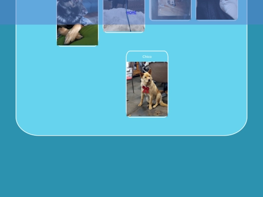 pets screenshot