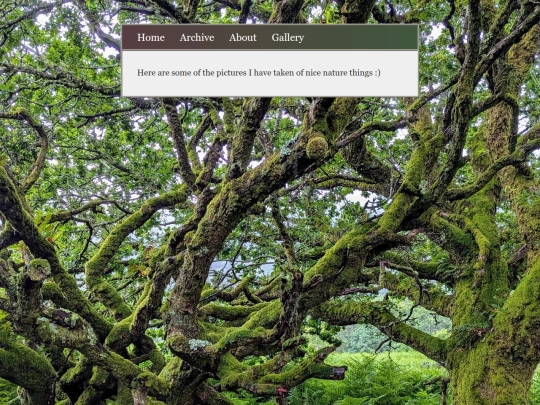 gallery screenshot