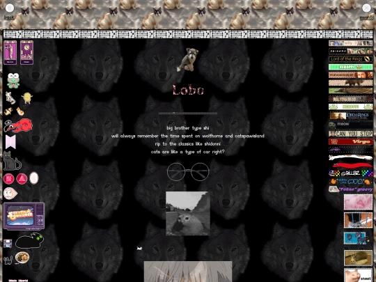 main.page/beach.house/lobo screenshot