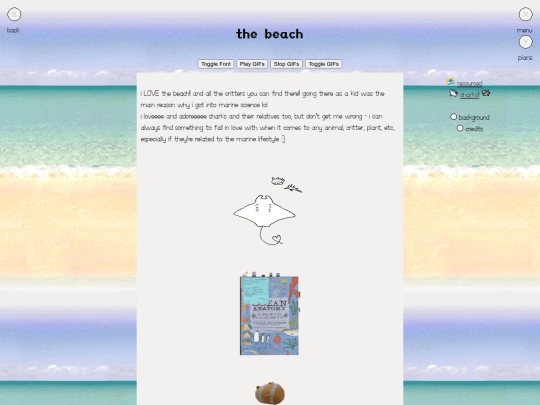 main.page/beach/beach screenshot