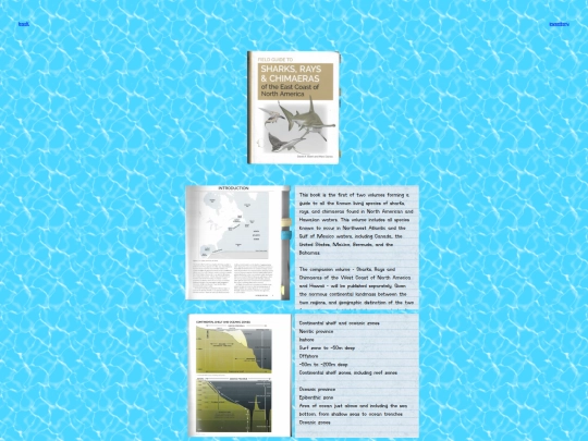 main.page/beach/marine.science/sharks/DavidAEbertMarcDandoFieldGuideSharksRaysChimaerasofEastCoastofNorthAmerica screenshot