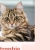Catrophie avatar