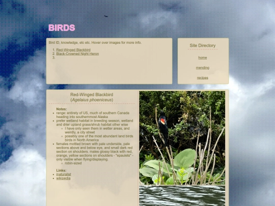 birds screenshot