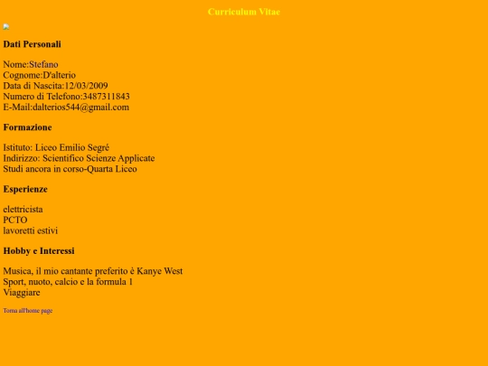 pagine/curriculumvitae screenshot