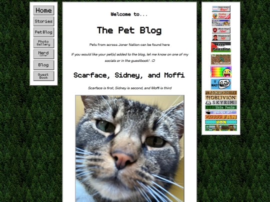 petBlog screenshot