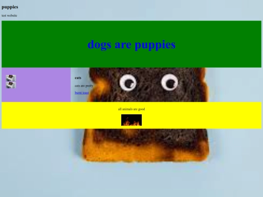 testwebsite screenshot