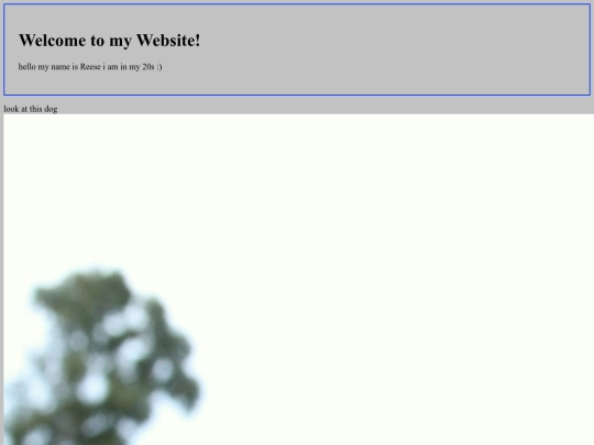 reese screenshot