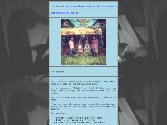whatispupa screenshot