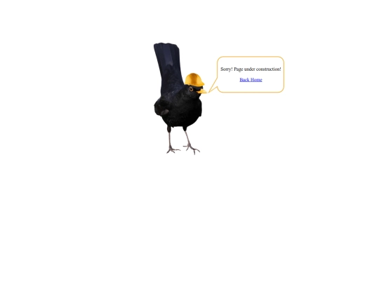 constructionpage screenshot