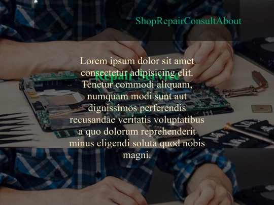 site_new/repairs screenshot