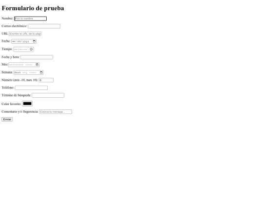 formulario_Fernanda_Fierro screenshot