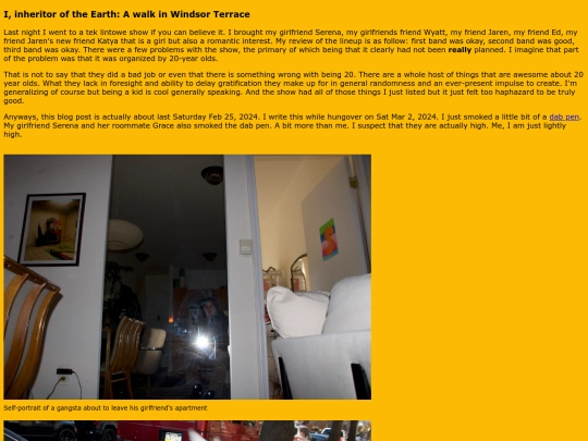 windsor-terrace screenshot