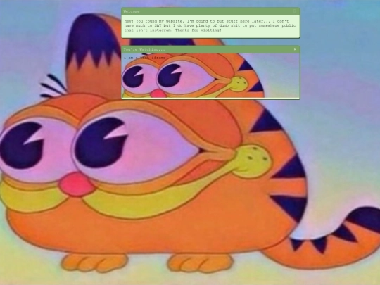 home screenshot