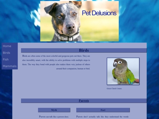 birds screenshot