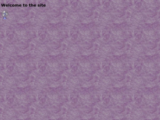 homepage screenshot