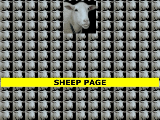 sheeppage screenshot