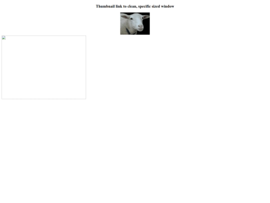 test screenshot