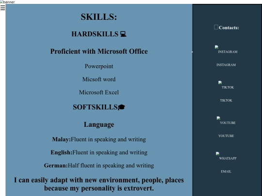 skills screenshot