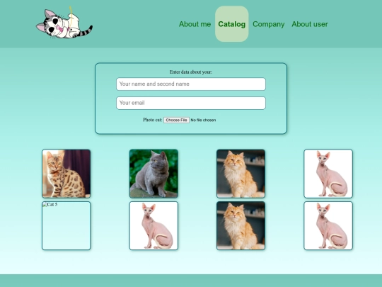 catalog screenshot