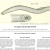 The web site of lamprey avatar