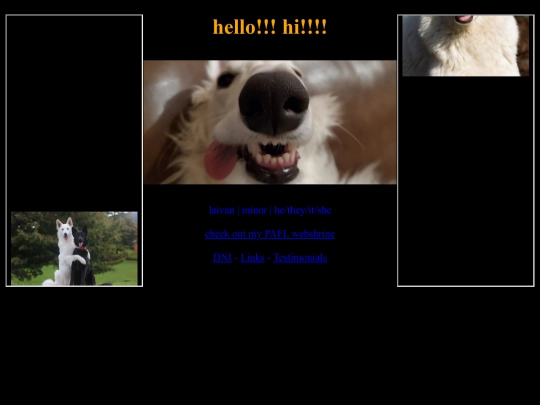 info screenshot