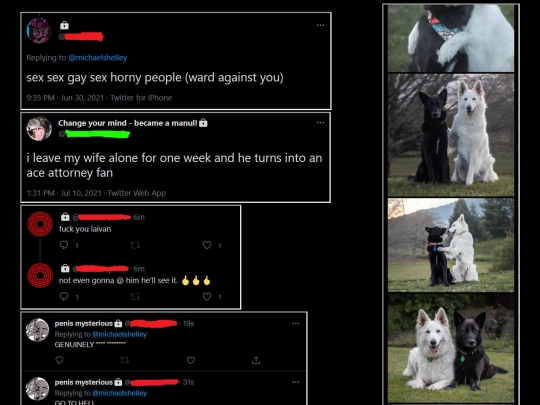 testimonials screenshot